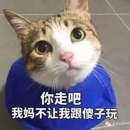 你的头像暴露了心理年龄 小学 初中 高中 大学你在哪一类